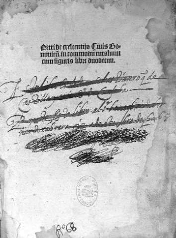 Imagen del registro