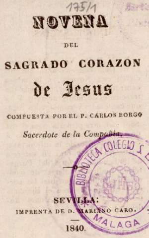 Imagen del registro