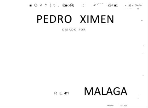 Imagen del registro