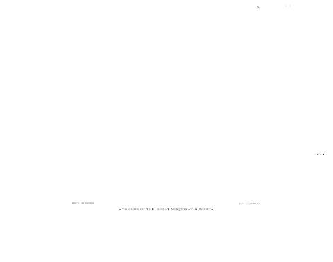 application/pdf