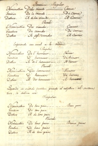 Imagen del registro