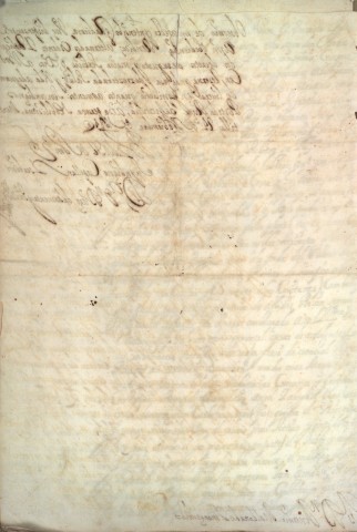 application/pdf