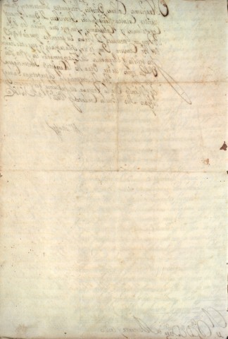application/pdf