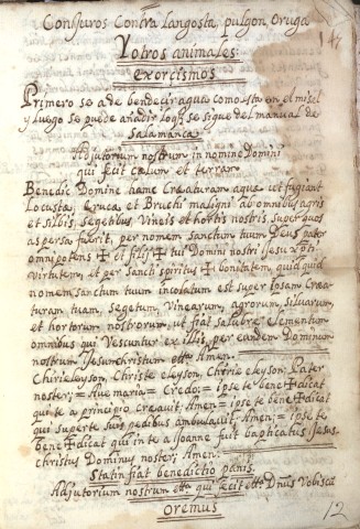 Imagen del registro