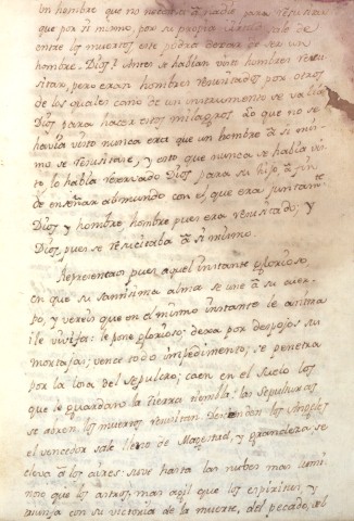 Imagen del registro