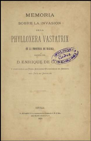 application/pdf