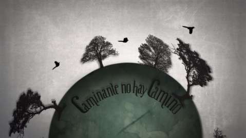 video/mp4