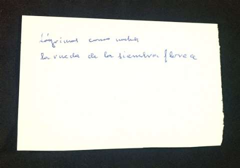 Imagen del registro