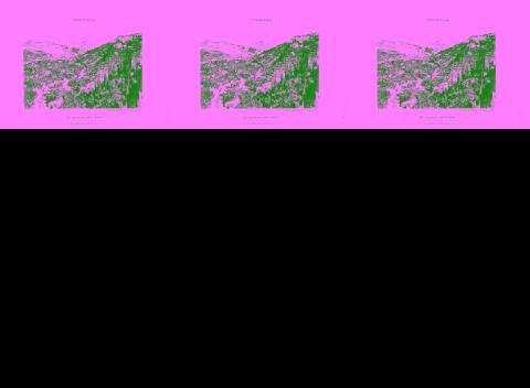 application/pdf