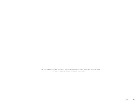 application/pdf