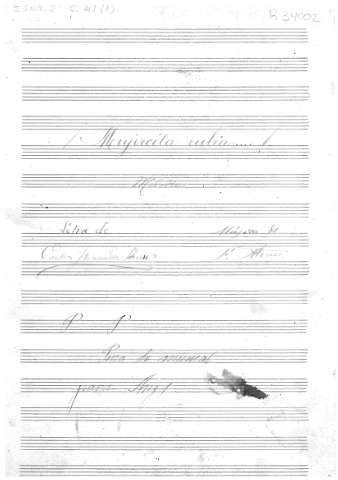 application/pdf