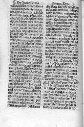 [Sermo XVII]