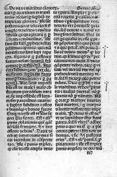 81