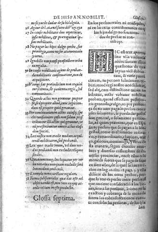 Glossa Septima