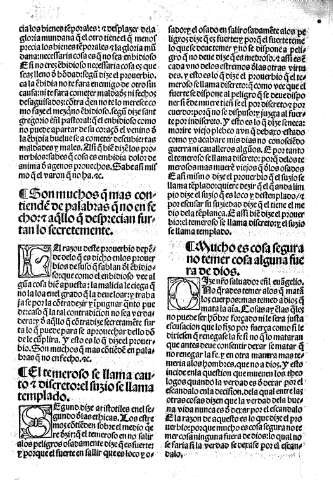 Folio XXVIII