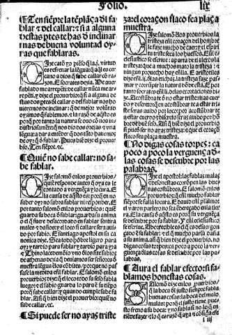 Folio XIII