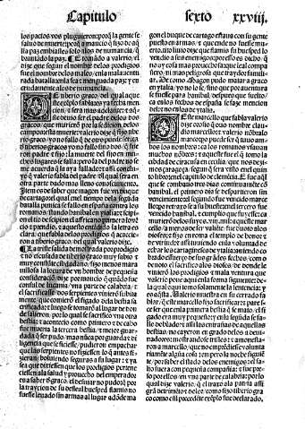 XXVIII
