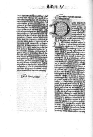 Liber V. De partibus humani corporis