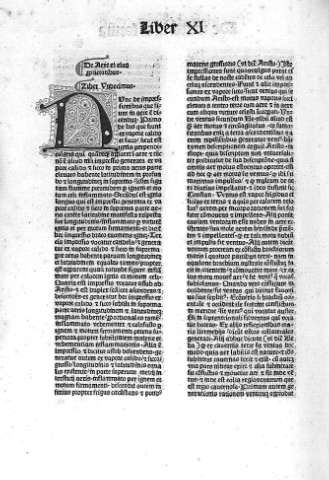 Liber XI. De aere et eius prietatibus