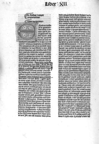 Liber XII. De auibus