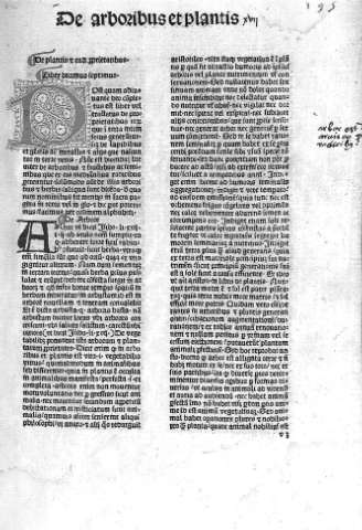 [Liber XVII. De arboribus et plantis] v 3
