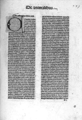 [Liber XVIII. De animalibus] A 1