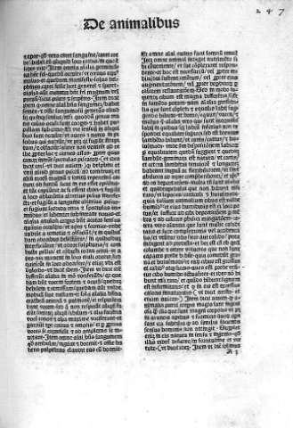 A 3