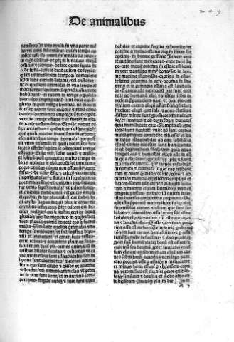 A 5