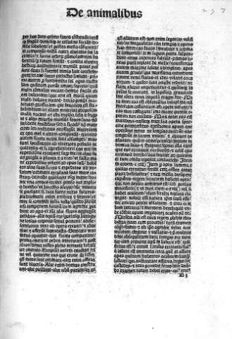 B 3