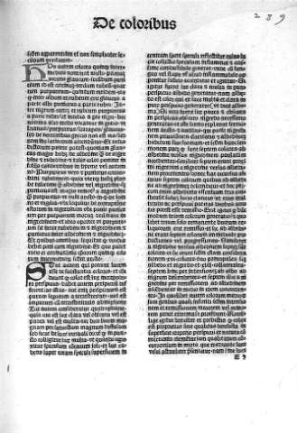 E 5