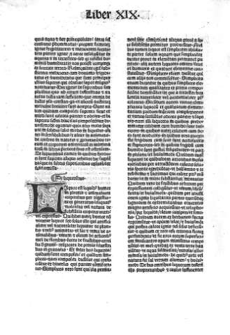 De liquoribus