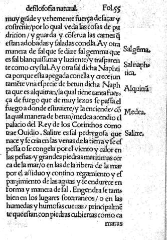 Fol. 55