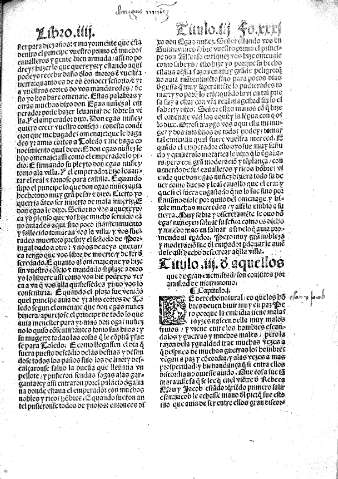 Fo. XXXI