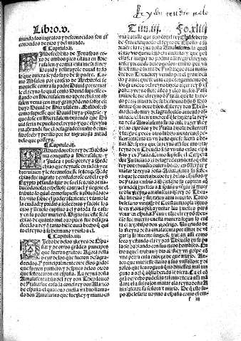 Libro V