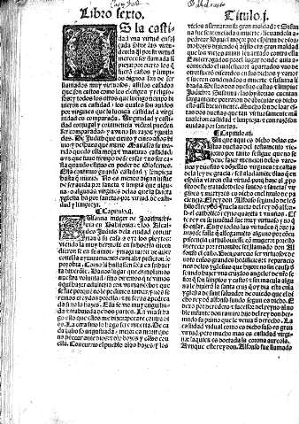 Libro Sexto