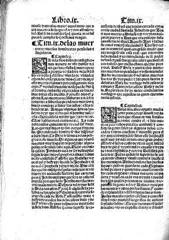 Libro IX
