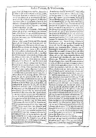 Index rerum & verborum