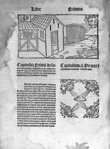 Liber primus. De locis habitabilibus eligendis et de curiis domibus...