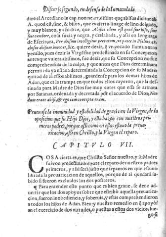 Capitvlo VII