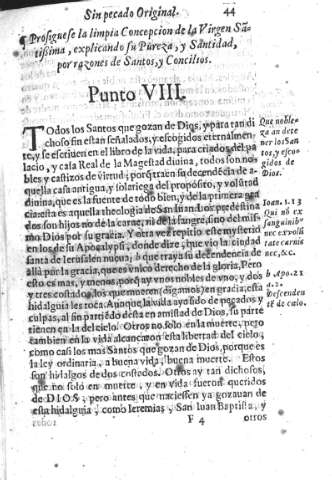 Punto VIII
