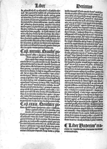 Liber undecimus. Tractans de regulis totius tractatus ruralium commodorum