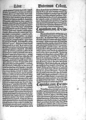 CXLVIII
