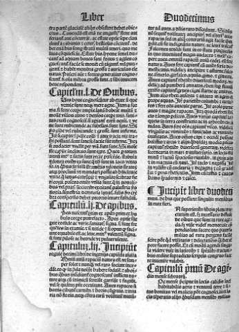 Liber duodecimus. De his que possunt singulis mensibus in rure sieri