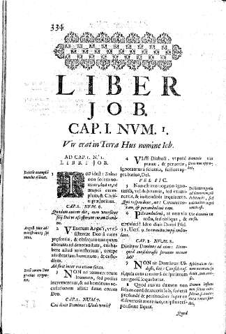 Liber Job. Cap.I. Nvm.I. Vir erat in Terra Hus nomine Iob