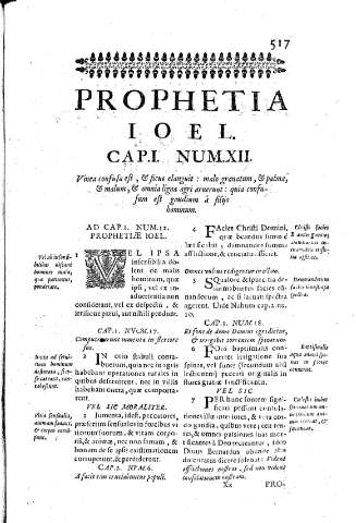Prophetia Ioel. Cap. I. Num.XII. Vinea confusa est
