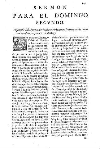 Sermon para el domingo segundo.