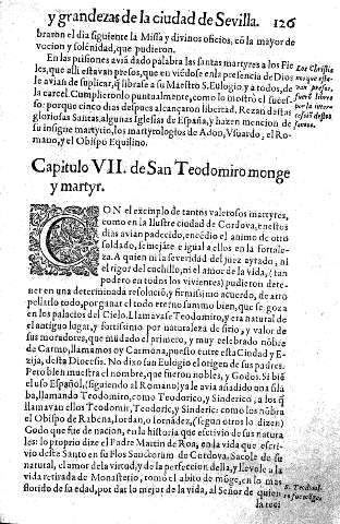 Capitulo VII.