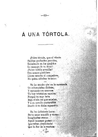Á una tórtola