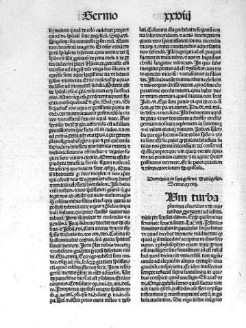 Sermo XXVIII