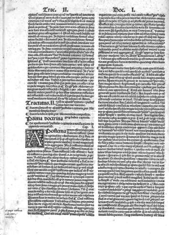 Tractatus II. De apamtibus...